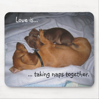 Alfombrilla De Ratón los loveis, amor son…,… tomando naps juntos