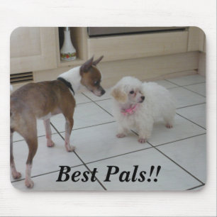 Alfombrilla De Ratón ¡Los mejores Pals!!