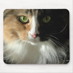 Alfombrilla De Ratón Los ojos de gato Mousepad