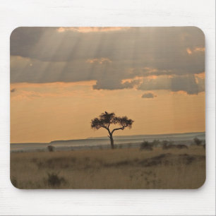 Alfombrilla De Ratón Los rayos de sol duran toda la tarde