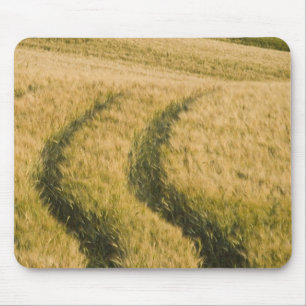 Alfombrilla De Ratón Los tractores atraviesan trigo, Toscana, Italia