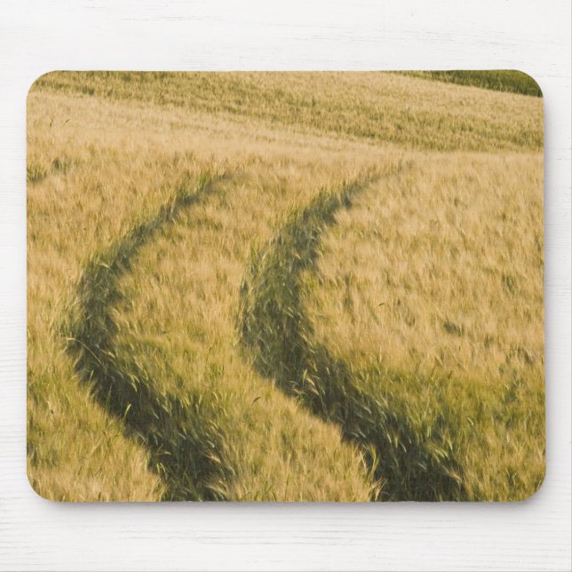 Alfombrilla De Ratón Los tractores atraviesan trigo, Toscana, Italia (Frente)