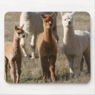 Alfombrilla De Ratón Los tres amigos, Alpaca-Estilo