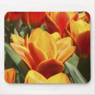 Alfombrilla De Ratón Los tulipanes abundan en Keukenhof Gardens, Holand
