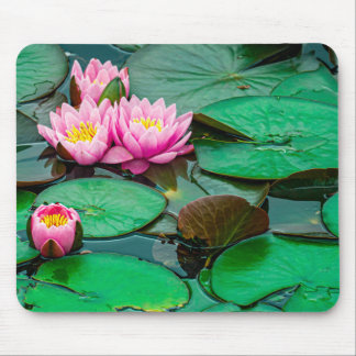 Alfombrilla De Ratón Loto rosa floreciente en el lago Mousepad