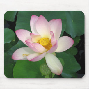 Alfombrilla De Ratón Lotus