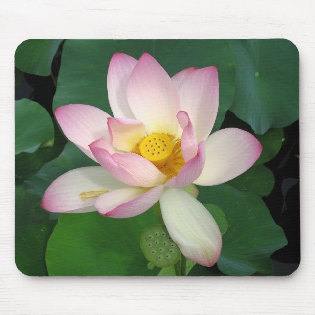 Alfombrilla De Ratón Lotus (Frente)