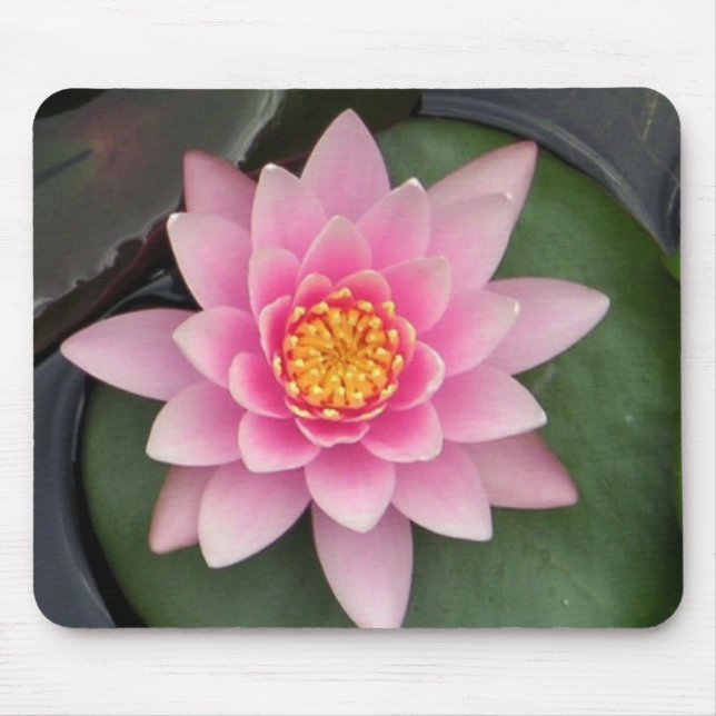 Alfombrilla De Ratón Lotus 1 (Frente)