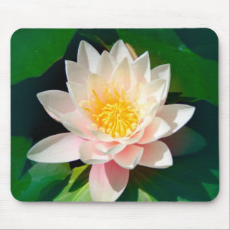 Alfombrilla De Ratón Lotus Mousepad