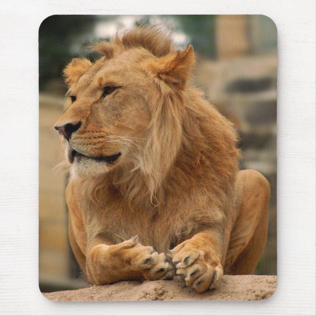 Alfombrilla De Ratón Löwe mit Punkerfrisur (Frente)