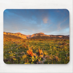 Alfombrilla De Ratón Luces del amanecer Cañón de hojas negras 2