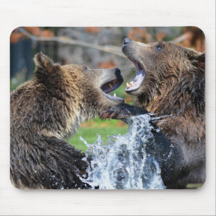 Alfombrilla De Ratón Lucha del oso grizzly