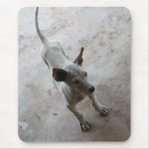 Alfombrilla De Ratón Luk Maa... Perro picante tailandés