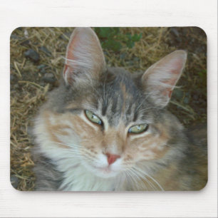 Alfombrilla De Ratón Lulu - dormirte a la medianoche