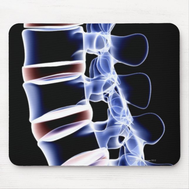 Alfombrilla De Ratón Lumbar Vertebrae 2 (Frente)
