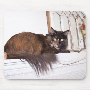 Alfombrilla De Ratón Luna