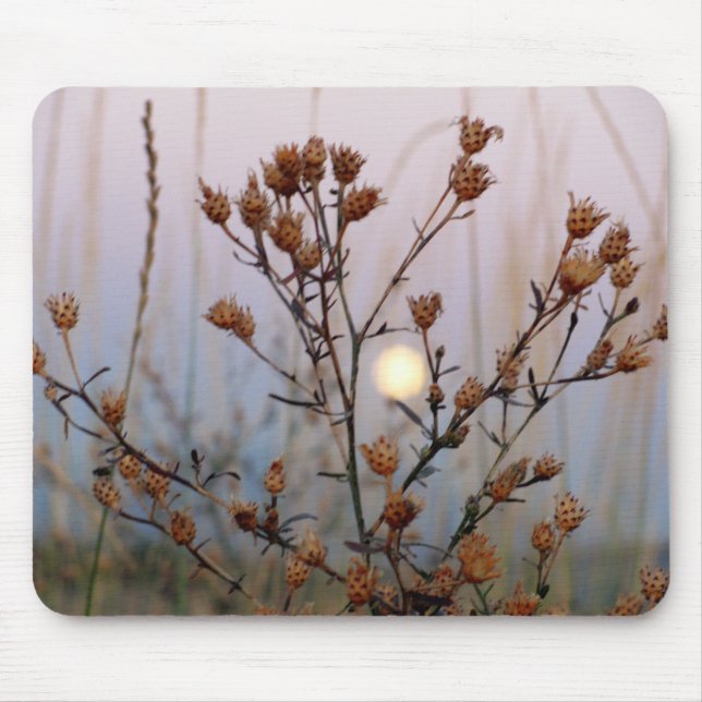 Alfombrilla De Ratón Luna completa a través del sabio (Frente)