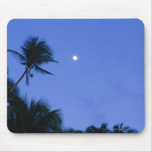 Alfombrilla De Ratón Luna luminosa, silueta de cocoteros