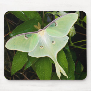 Alfombrilla De Ratón Luna Moth en Carnaby Clematis