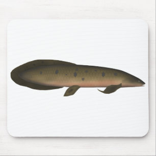 Alfombrilla De Ratón Lungfish australiano