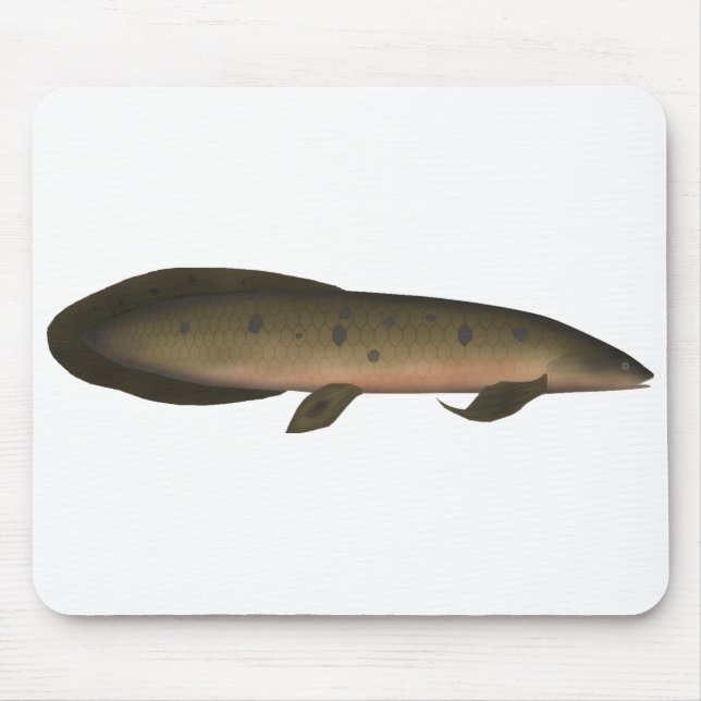 Alfombrilla De Ratón Lungfish australiano (Frente)