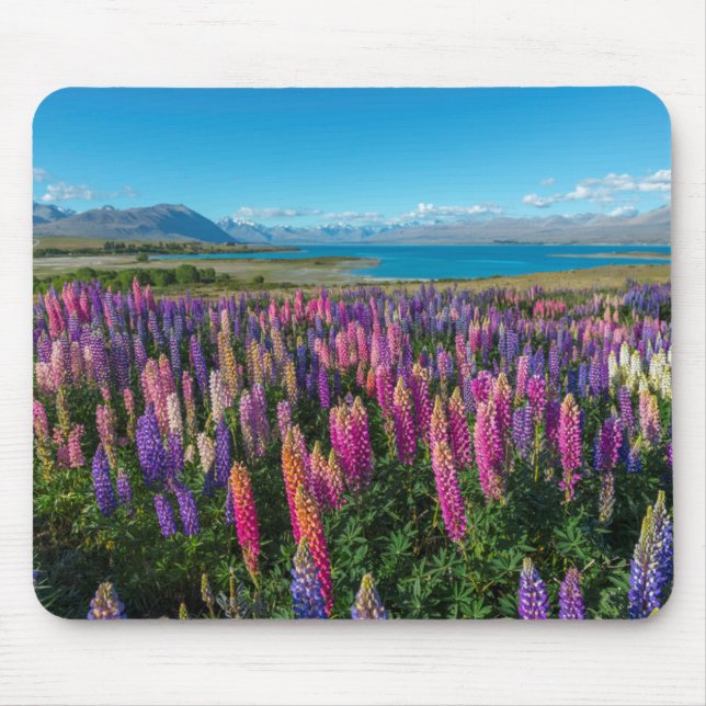 Alfombrilla De Ratón Lupines de Russle en el lago Tekapo el | Nueva (Frente)