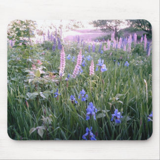 Alfombrilla De Ratón Lupines y iris