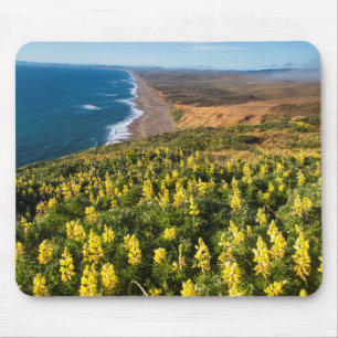 Alfombrilla De Ratón Lupino Amarillo Sobre la Playa Point Reyes En Poin