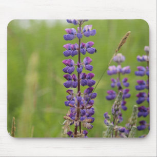Alfombrilla De Ratón Lupinos de Alaska lavanda