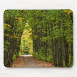 Alfombrilla De Ratón Luz Al Final De Un Túnel De Árboles