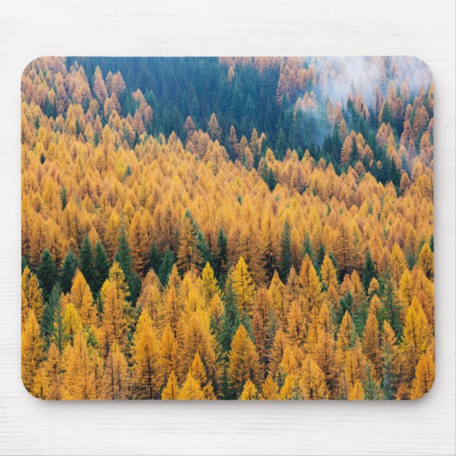 Alfombrilla De Ratón Luz de la mañana en la playa | Isla Tybee (Frente)