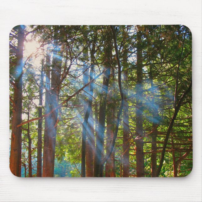 Alfombrilla De Ratón Luz de sol atravesando los pinos (Frente)