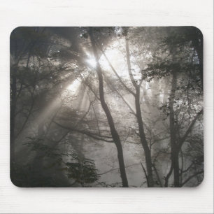 Alfombrilla De Ratón Luz solar a través de árboles Bosque oscuro