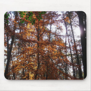 Alfombrilla De Ratón Luz solar a través de un árbol de otoño en Greenbe