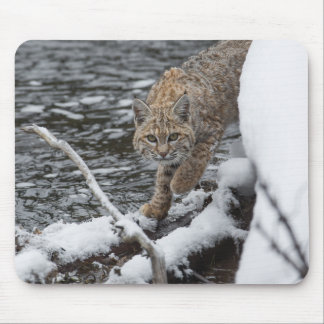 Alfombrilla De Ratón Lynx