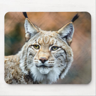 Alfombrilla De Ratón Lynx Bobcat Gato depredador de vida salvaje