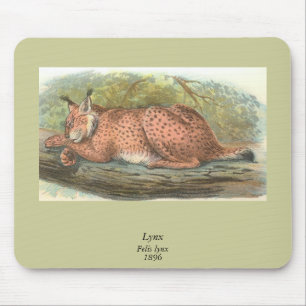 Alfombrilla De Ratón Lynx, Felis lynx