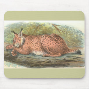 Alfombrilla De Ratón Lynx, Felis lynx