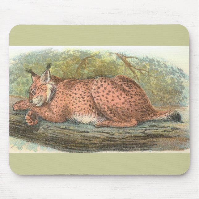 Alfombrilla De Ratón Lynx, Felis lynx (Frente)