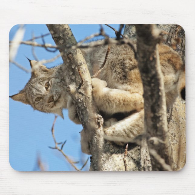 Alfombrilla De Ratón Lynx traviesa (Frente)