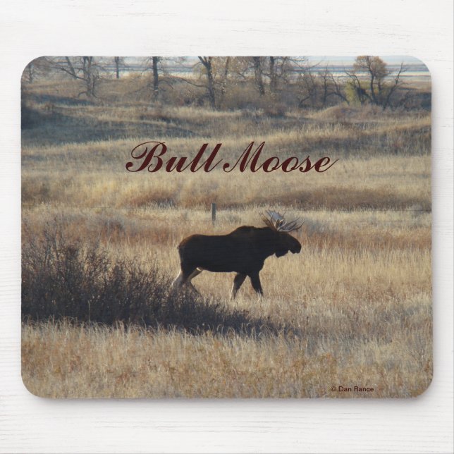 Alfombrilla De Ratón M5 Bull Moose (Frente)