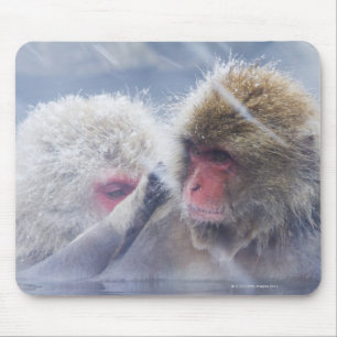 Alfombrilla De Ratón Macaques japoneses (fuscata del Macaca) que