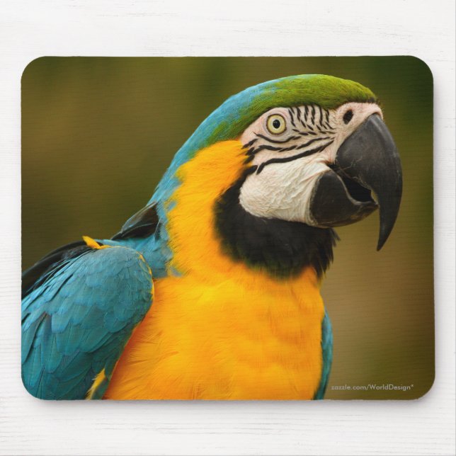 Alfombrilla De Ratón macaw (Frente)