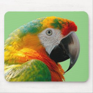 Alfombrilla De Ratón Macaw