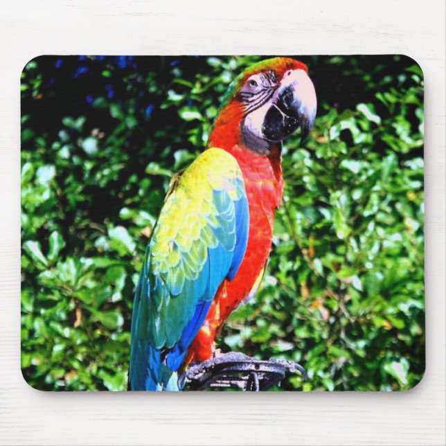 Alfombrilla De Ratón Macaw Mousepad (Frente)