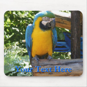 Alfombrilla De Ratón Macaw Mousepad