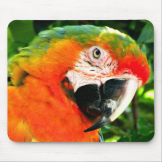 Alfombrilla De Ratón Macaw Mousepad del escarlata