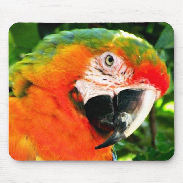 Alfombrilla De Ratón Macaw Mousepad del escarlata (Frente)