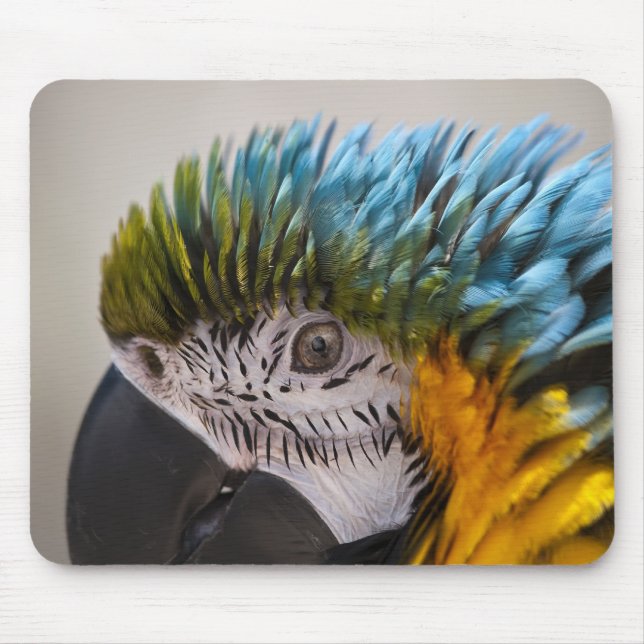 Alfombrilla De Ratón Macaw Parrot - Mousepad (Frente)