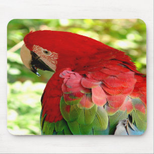 Alfombrilla De Ratón Macaw rojo Mousepad 2